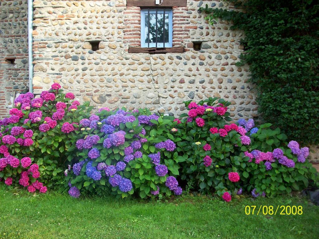La Maison D'Anais Vic-en-Bigorre Esterno foto